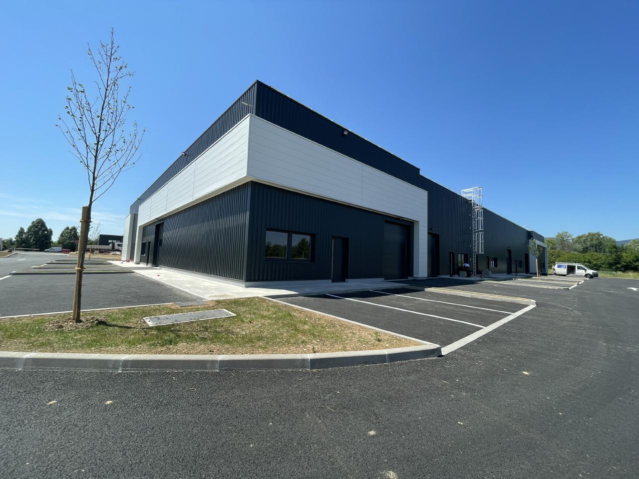 Local d'activité Goxwiller 838m² Vente local d'activité Goxwiller Bas-Rhin OVACT2308909 5